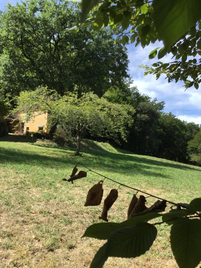 Logis Des 4 Fées * Sainte-Nathalène
